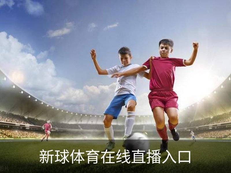 关于新球体育在线直播入口